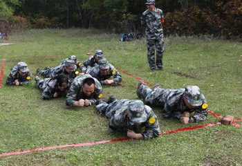 PP电子(中国)有限公司官网