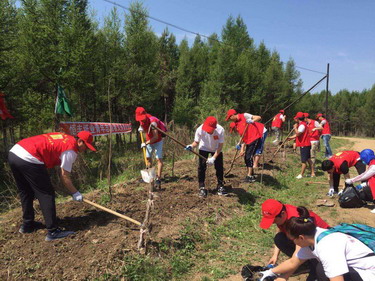 PP电子(中国)有限公司官网