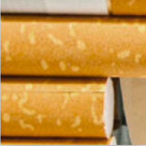 PP电子(中国)有限公司官网