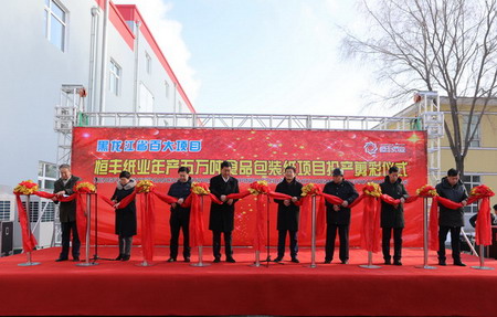 PP电子(中国)有限公司官网