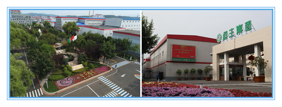 PP电子(中国)有限公司官网