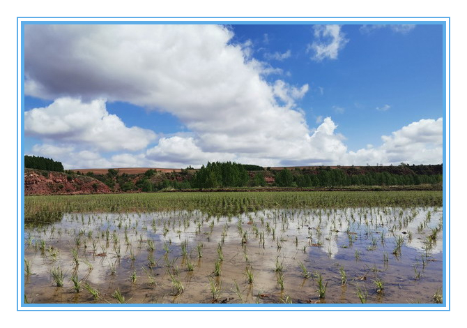 PP电子(中国)有限公司官网