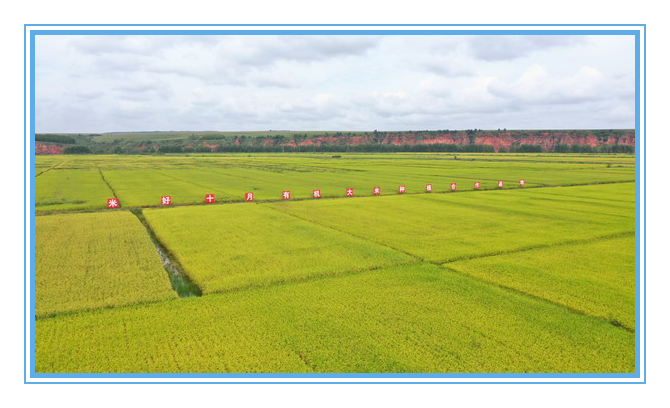 PP电子(中国)有限公司官网