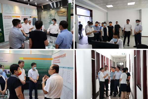 PP电子(中国)有限公司官网