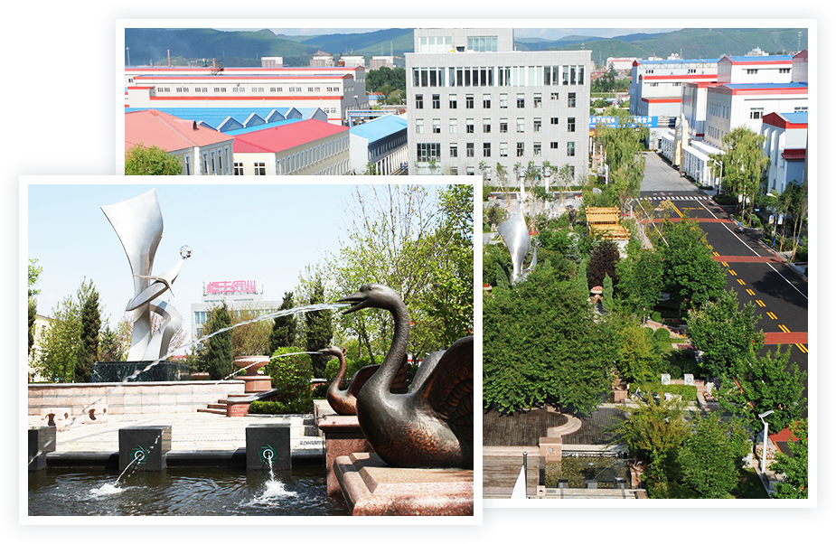 PP电子(中国)有限公司官网